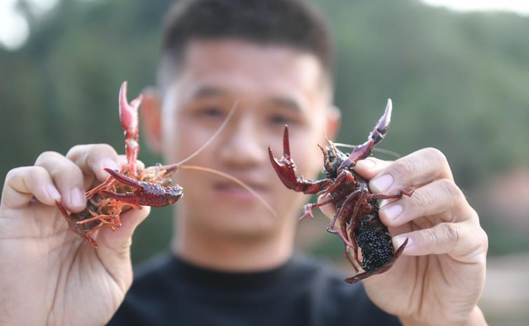 吹盡狂沙始到金&mdash;&mdash;綠色發(fā)展之&ldquo;金&rdquo;的故事