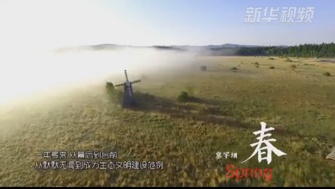 塞罕壩：那一抹綠色，走進越來越多人心里