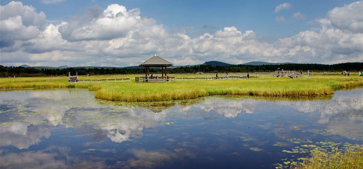 那一抹綠色，走進(jìn)越來越多人心里&mdash;&mdash;河北塞罕壩續(xù)寫新時(shí)代綠色傳奇