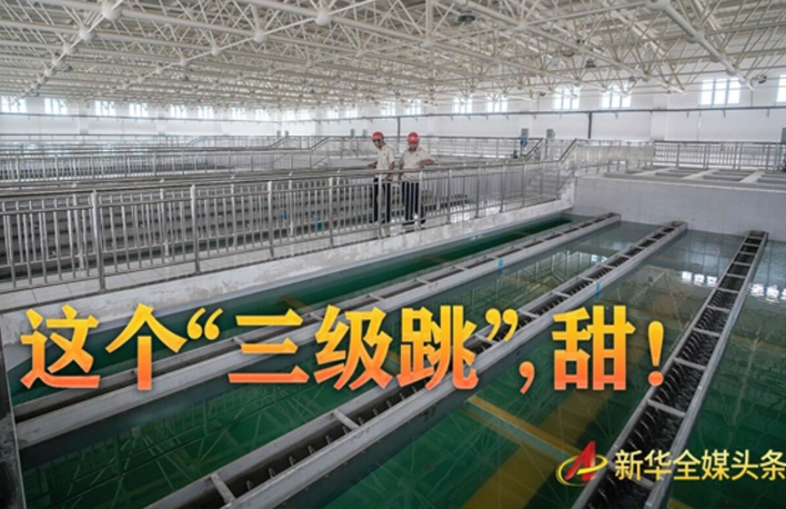 這個&ldquo;三級跳&rdquo;，甜！