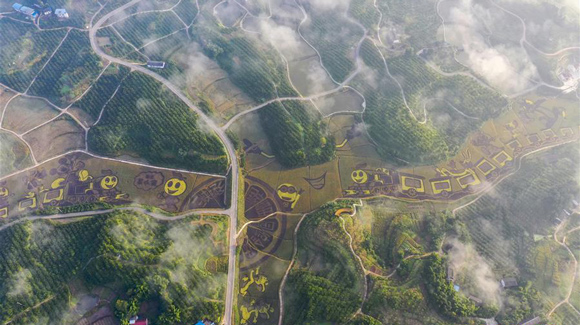 百城千縣萬村調(diào)研行｜在三峽橘鄉(xiāng)，遇見最美的田園時光！