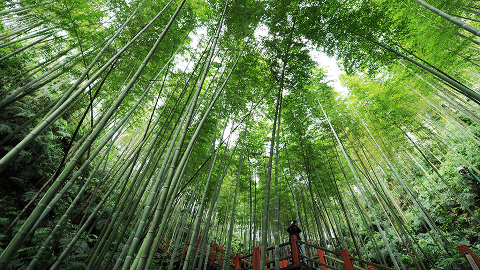 合作共治、責任共擔、效益共享&mdash;&mdash;赤水河流域跨省生態(tài)補償取得積極成效