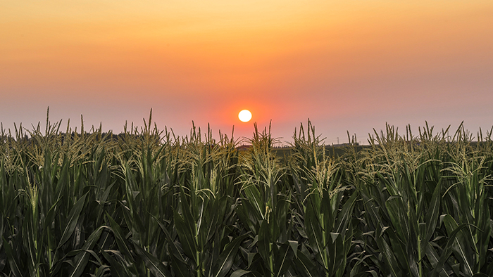 風(fēng)卷紅旗過大關(guān)&mdash;&mdash;以習(xí)近平同志為核心的黨中央領(lǐng)航中國為實現(xiàn)第一個百年奮斗目標(biāo)而奮勇拼搏紀實