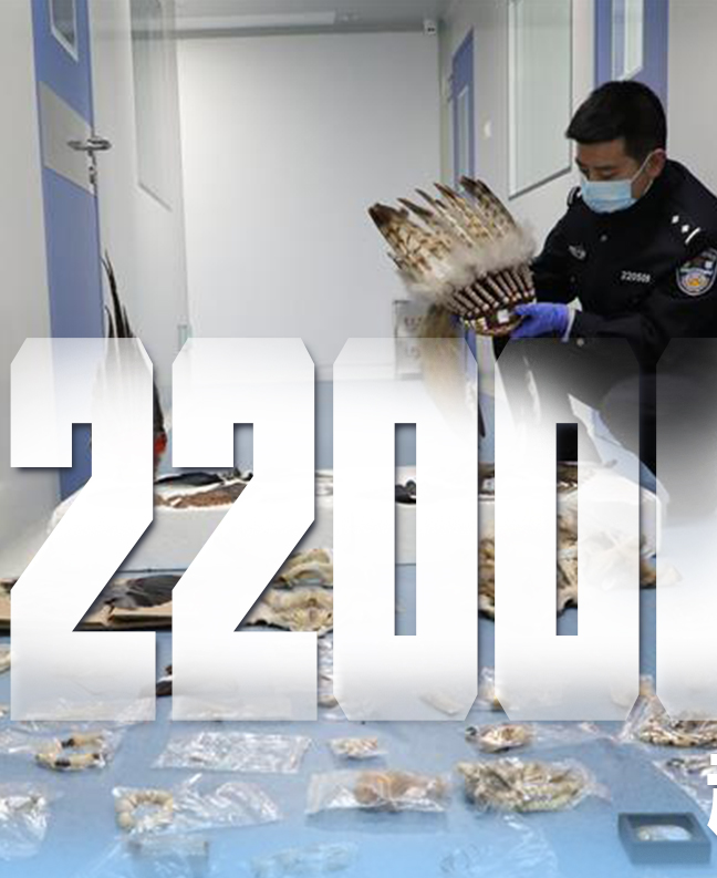 抗疫有&ldquo;法&rdquo;，就是這么給力！