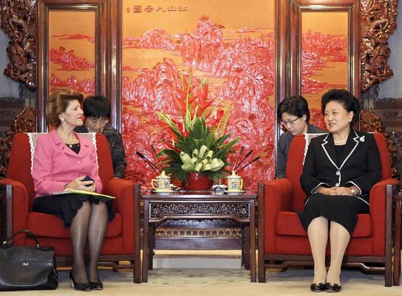 劉延?xùn)|會(huì)見歐盟委員會(huì)教育、文化、語言多樣性及青年事務(wù)委員瓦西利烏