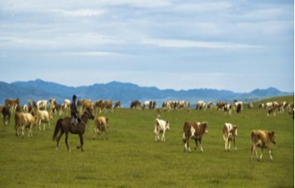 華能北方公司：奔小康，咱肯定能