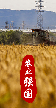 農(nóng)業(yè)強國是社會主義現(xiàn)代化強國的根基。
