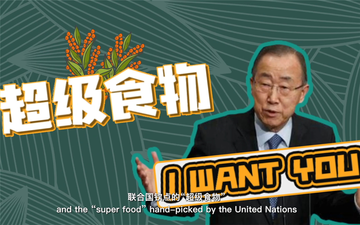 聯(lián)合國將藜麥視為抗擊饑餓的&ldquo;超級食物&rdquo;，大力推廣