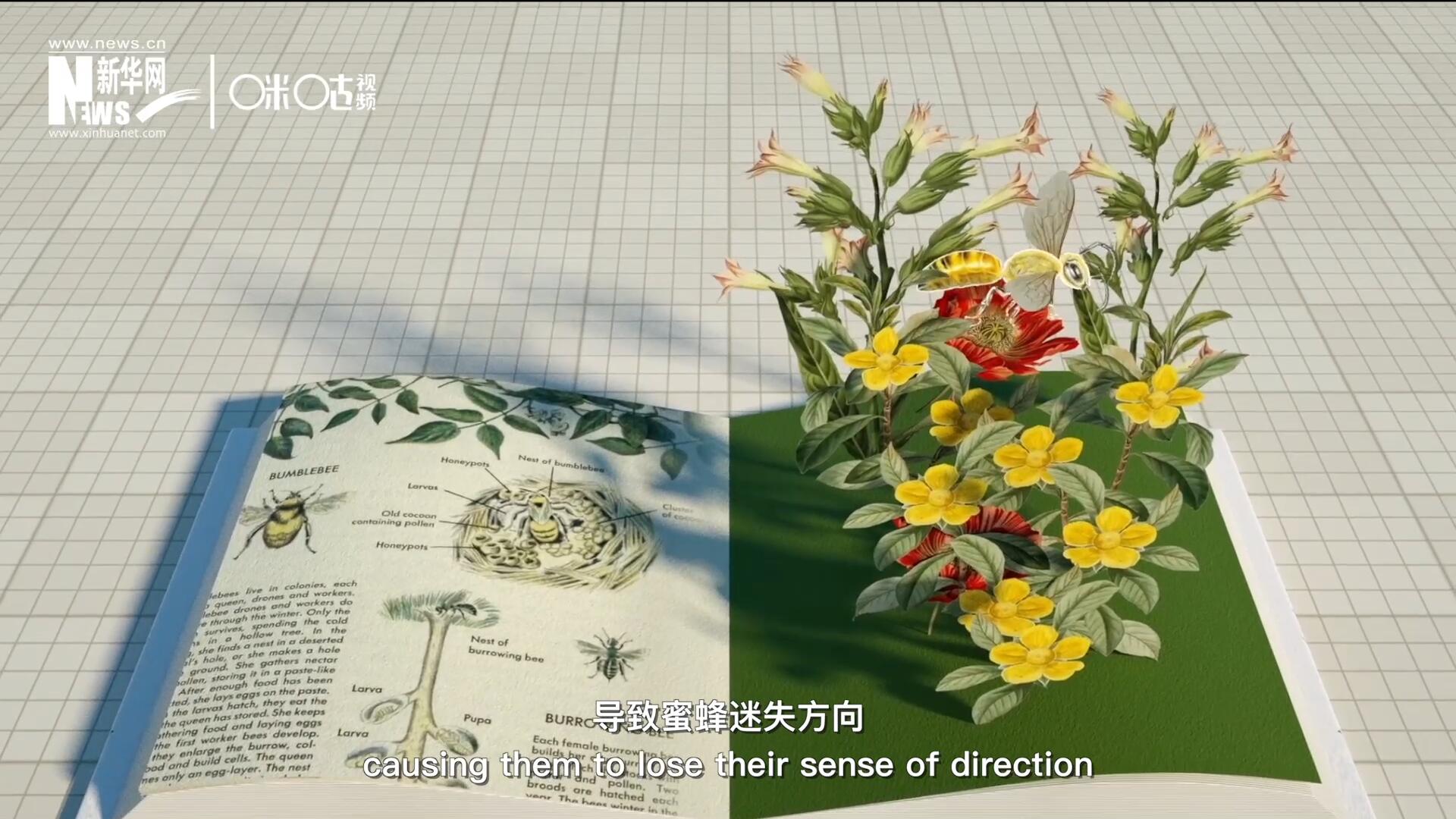 殺蟲劑會破壞蜜蜂的神經(jīng)系統(tǒng)，導致蜜蜂迷失方向，無法回到蜂房，還會降低蜜蜂的抵抗力