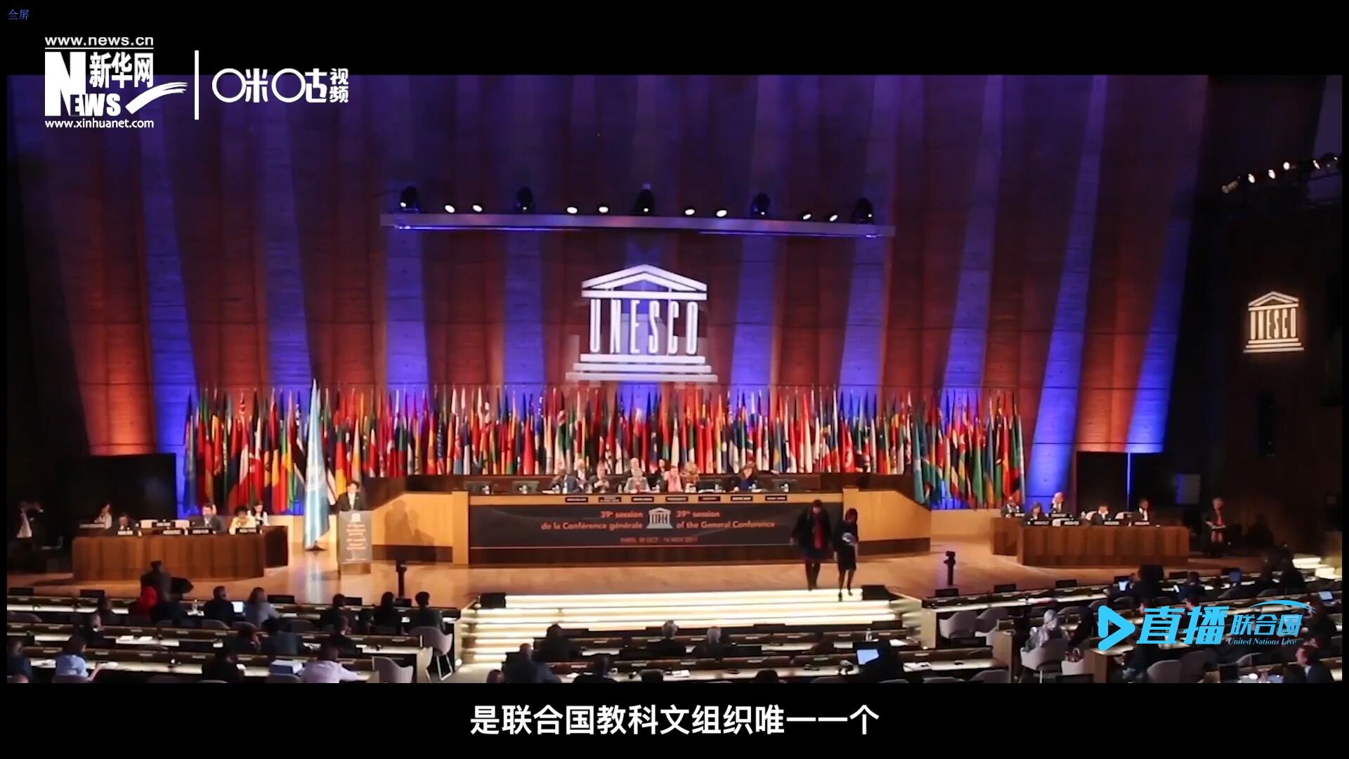 民間藝術國際組織成立于1979年，是聯(lián)合國教科文組織唯一一個以保護和挖掘國際民間藝術為工作中心的國際機構。