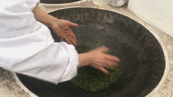 申遺，把雨花茶手藝傳承下去