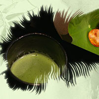 熱茶與伏天的關(guān)系，只有清涼