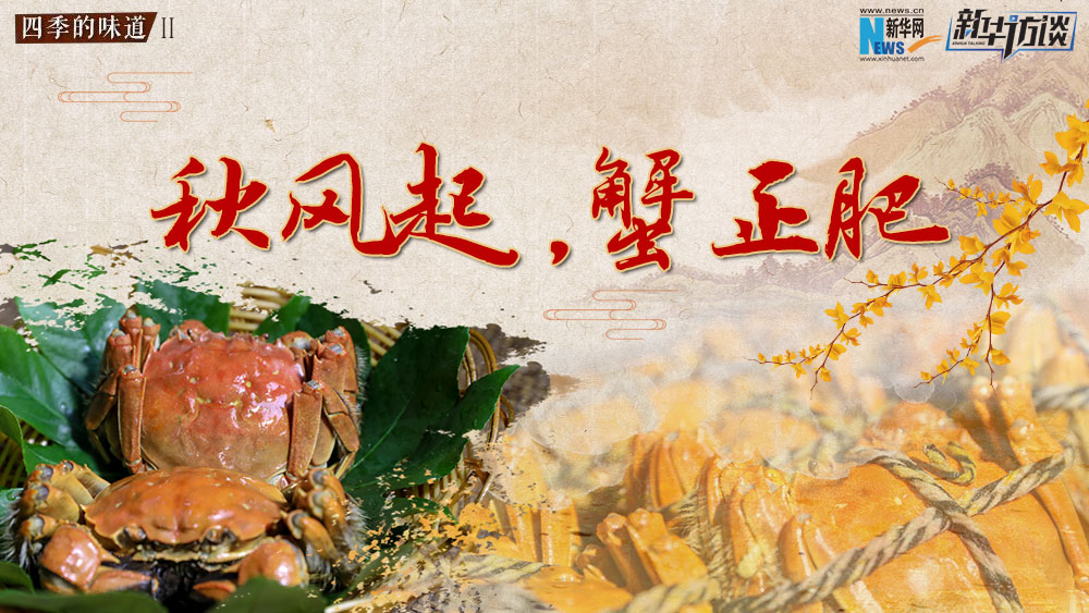 秋風(fēng)起，蟹正肥