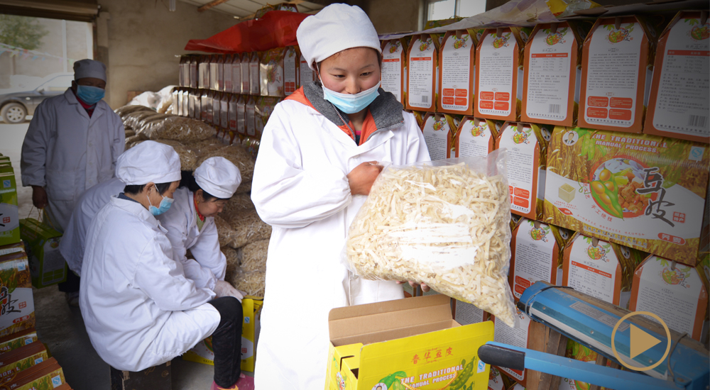 程夢(mèng)醒和三結(jié)村的&ldquo;豆皮夢(mèng)&rdquo;