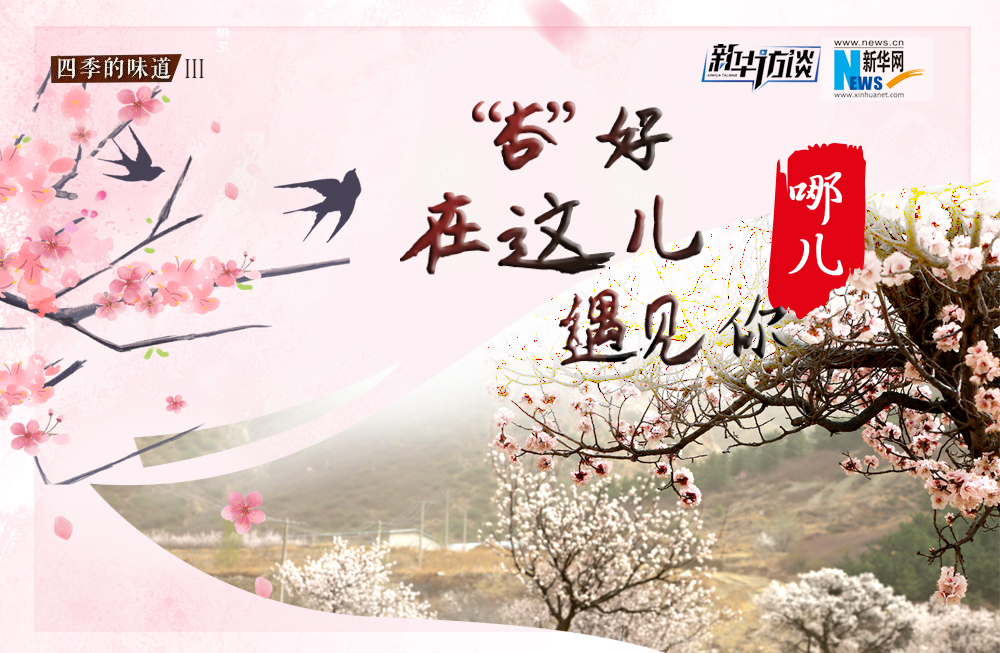 哪兒？&ldquo;杏&rdquo;好在這兒遇見你！