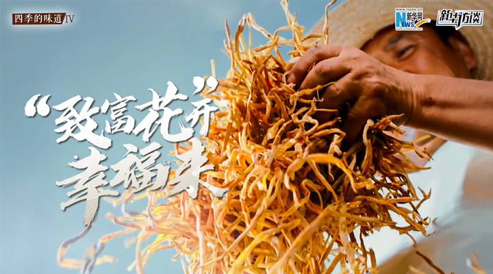 &ldquo;致富花&rdquo;開(kāi)幸福來(lái)