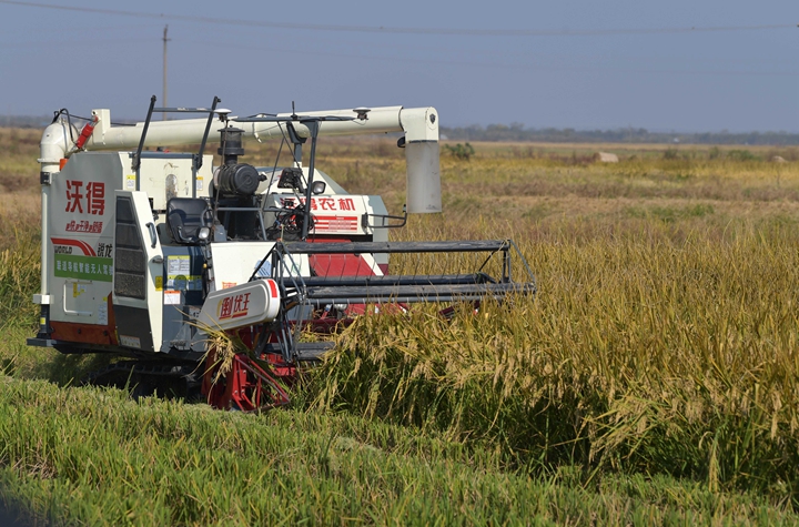 新華社評(píng)論員:穩(wěn)固耕地基本盤，打好種業(yè)翻身仗