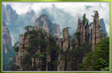 奇趣自然 張家界國家森林公園