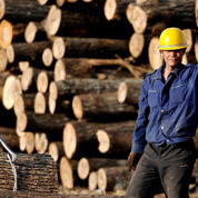 林業(yè)&ldquo;國字號(hào)&rdquo;改革