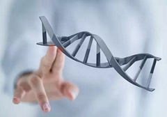 小細胞肺癌需要做基因檢測嗎？