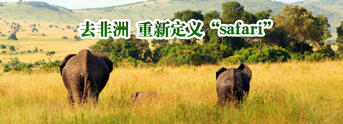 【新華微視評(píng)】去非洲 重新定義&ldquo;safari&rdquo;