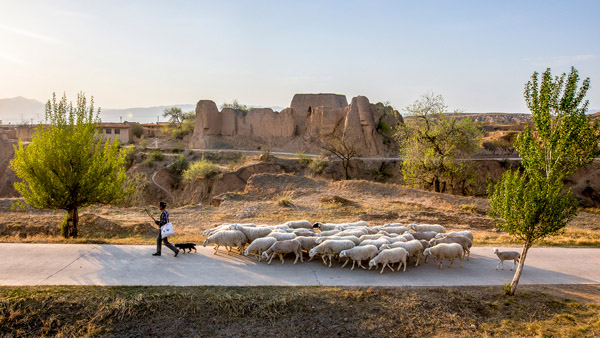追夢足跡｜上馬圈：鐵馬冰河，黃土斑駁