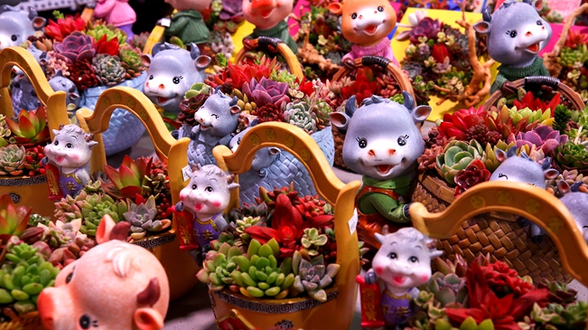 就地過年 你準(zhǔn)備好了嗎？