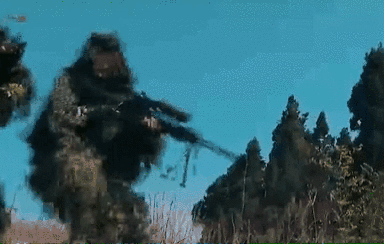 突入，擊斃！直擊武警特戰(zhàn)反劫持演練！