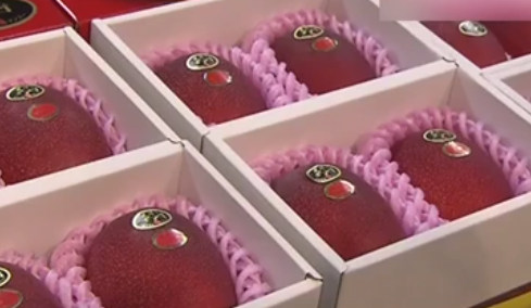 宮崎縣&ldquo;太陽(yáng)蛋&rdquo;芒果 兩個(gè)拍出20萬(wàn)日元