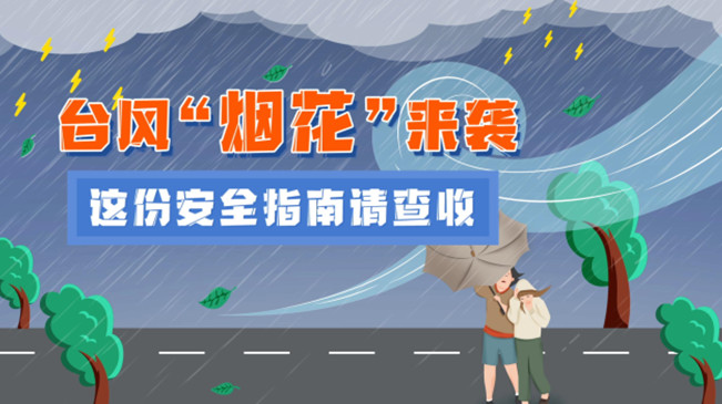 MG動畫：臺風(fēng)&ldquo;煙花&rdquo;來襲，這份安全指南請查收