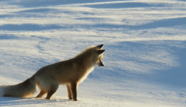 寒潮再襲 網(wǎng)友靈魂拷問(wèn)：這么冷為何還不下雪？