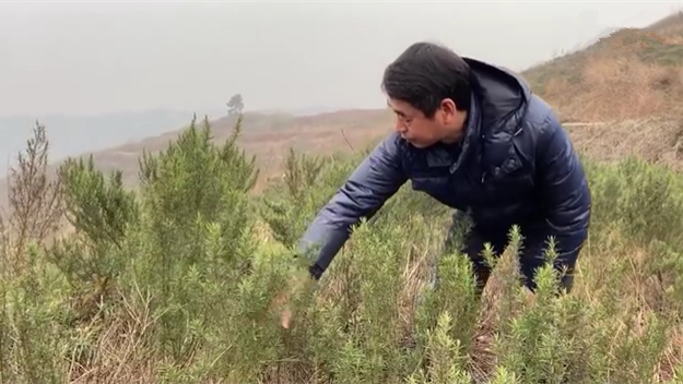 新春走基層｜脫貧后，駐村扶貧隊(duì)長(zhǎng)在干啥？