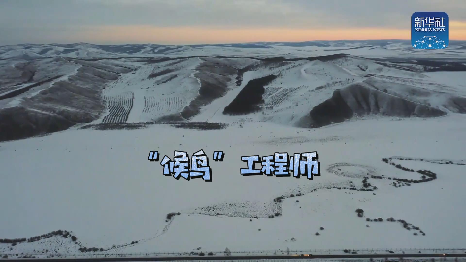 我們在奔跑丨一路向北！他是逆行的&ldquo;候鳥&rdquo;