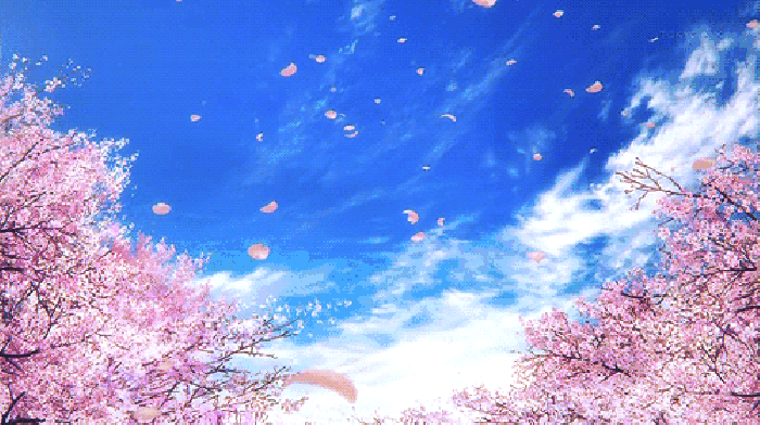 寧波這個(gè)地方早櫻花開成海，滿足你對春天的所有想象