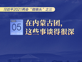 習(xí)近平2021兩會&ldquo;微鏡頭&rdquo;之三 3月5日 在內(nèi)蒙古團(tuán)，這些事談得很深
