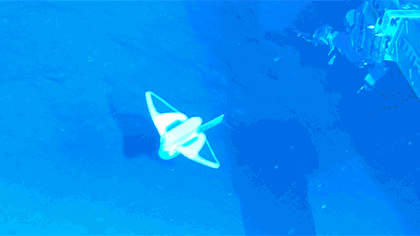 中國國產(chǎn)軟件機(jī)器魚&ldquo;打卡&rdquo;萬米深海溝