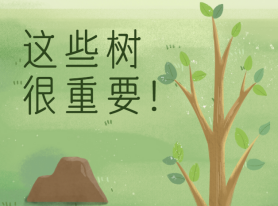 這些樹很重要！