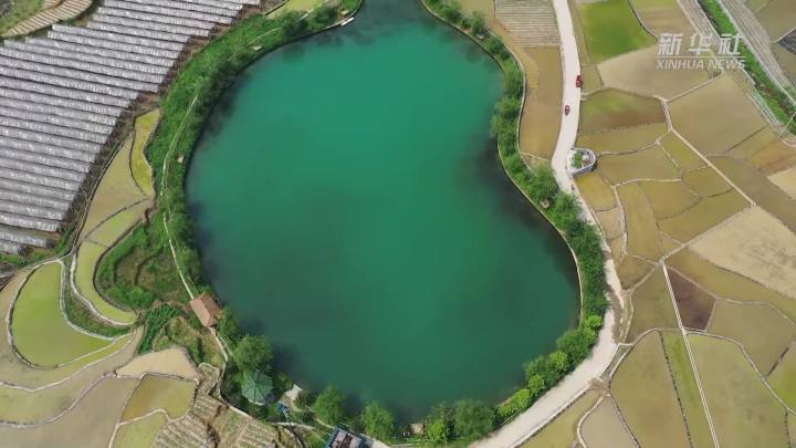 稻田新插，這里的山村美翻了！