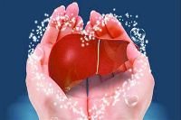 【健康解碼】轉(zhuǎn)氨酶正常肝臟就一定正常嗎？