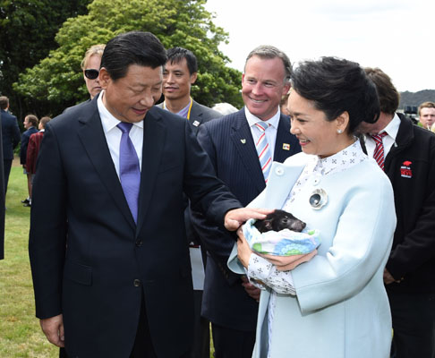 11月18日，國(guó)家主席習(xí)近平在澳大利亞塔斯馬尼亞州與朗塞斯頓市斯科奇－歐克伯恩小學(xué)的小學(xué)生共同植樹(shù)。這是習(xí)近平和夫人彭麗媛植樹(shù)后撫摸袋獾。新華社記者 馬占成 攝