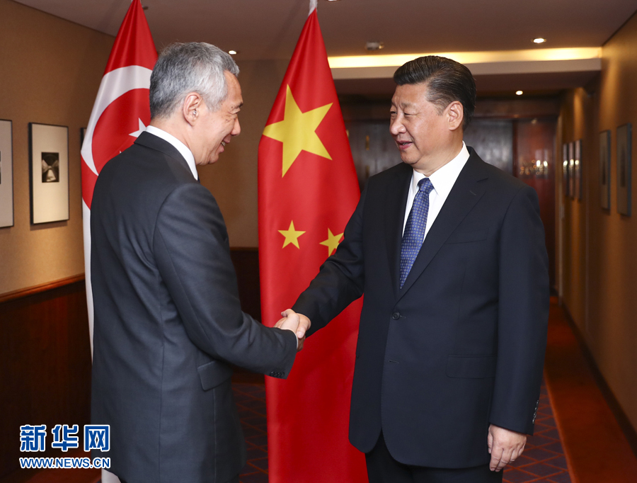 7月6日，國(guó)家主席習(xí)近平在漢堡會(huì)見(jiàn)新加坡總理李顯龍。 新華社記者謝環(huán)馳 攝