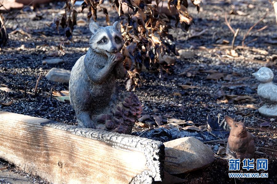 （國際&middot;圖文互動）（4）一場山火，讓這個冬天格外冷&mdash;&mdash;探訪美國加州山火災(zāi)區(qū)
