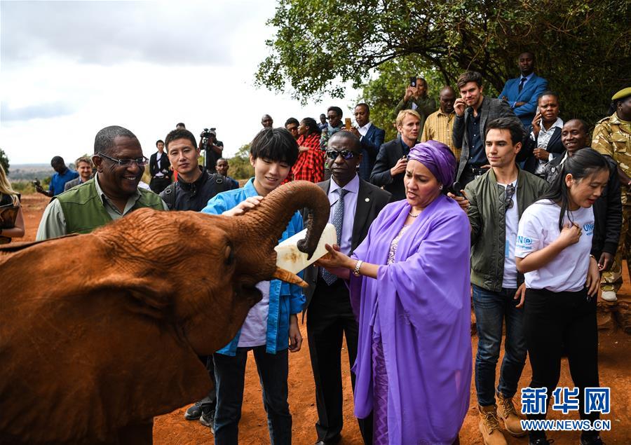 （國際&middot;圖文互動(dòng)）（1）專訪：環(huán)保要以身作則 從身邊小事做起&mdash;&mdash;訪聯(lián)合國環(huán)境署親善大使王俊凱