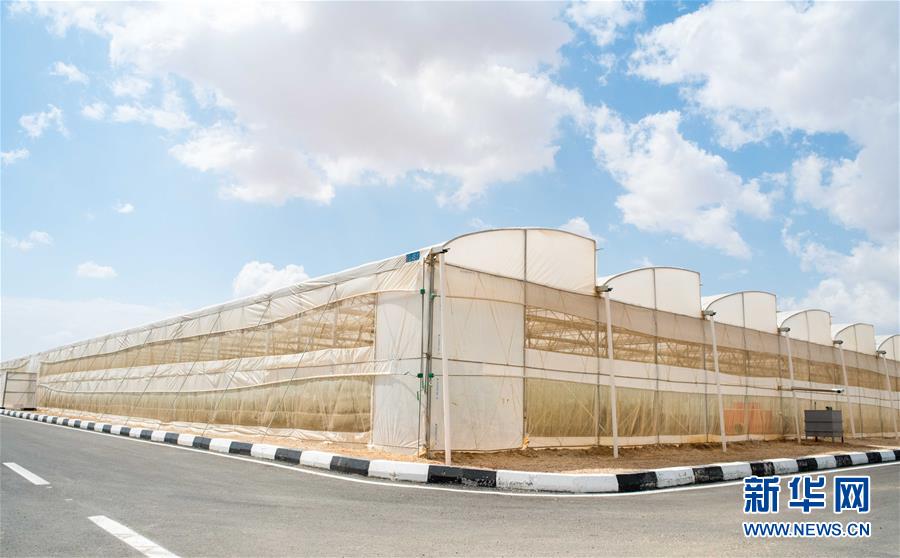 (國際·“一帶一路”高峰論壇·圖文互動)(1)荒漠正在成為瓜果飄香的綠洲——記中國國機重工埃及現(xiàn)代農(nóng)業(yè)溫室項目