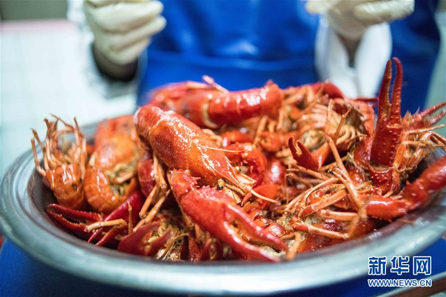 （國際&middot;圖文互動(dòng)）（1）從尼羅河畔到中國餐桌&mdash;&mdash;一只&ldquo;洋&rdquo;小龍蝦的36小時(shí)旅程