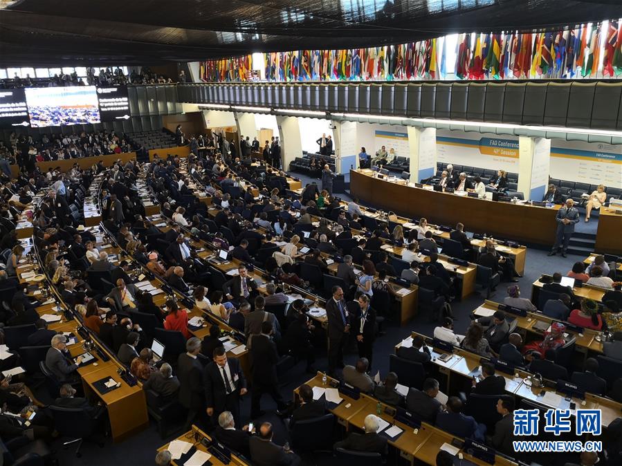 (國際)中國農業(yè)農村部副部長屈冬玉當選聯合國糧農組織總干事