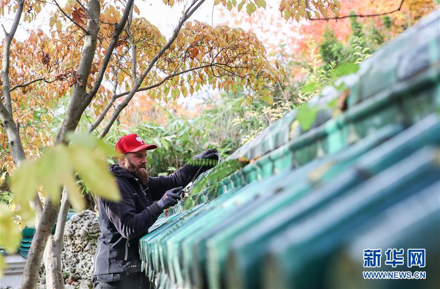 （國(guó)際&middot;圖文互動(dòng)）（1）通訊：守護(hù)魯爾河畔中國(guó)園林的德國(guó)志愿者