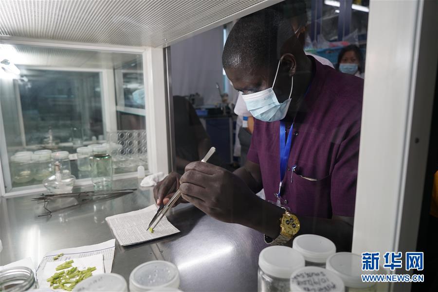 （在習近平新時代中國特色社會主義思想指引下&mdash;&mdash;新時代新作為新篇章&middot;總書記關(guān)切開放事&middot;圖文互動）（8）來中國&ldquo;學種地&rdquo;的&ldquo;洋學生&rdquo;