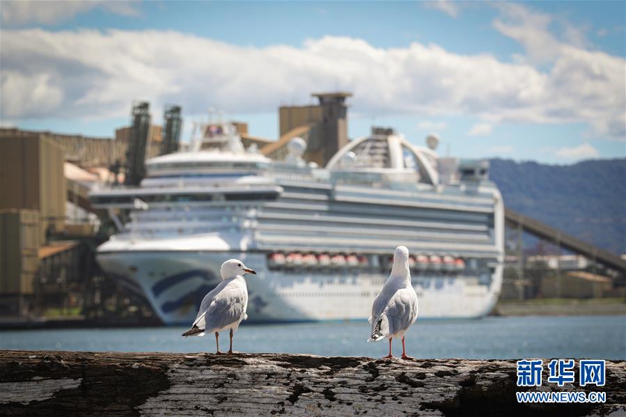 （國際疫情）（2）澳警方對&ldquo;紅寶石公主&rdquo;號郵輪展開刑事調(diào)查