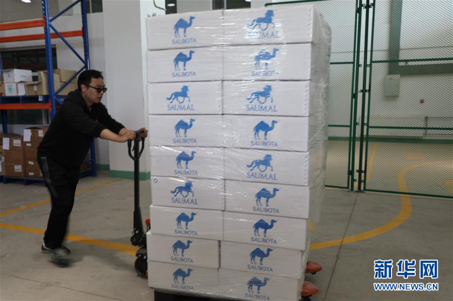 （國際&middot;圖文互動）（8）從&ldquo;先遣隊&rdquo;到&ldquo;正規(guī)軍&rdquo;&mdash;&mdash;哈薩克斯坦駱駝奶粉入華記